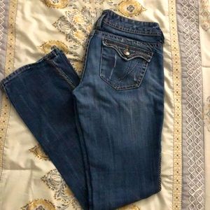 Express Barely Boot Double Stitched Jeans